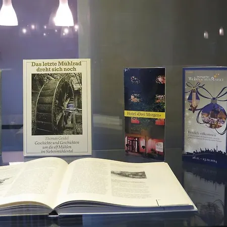 酒店 德雷摩根酒店 3*